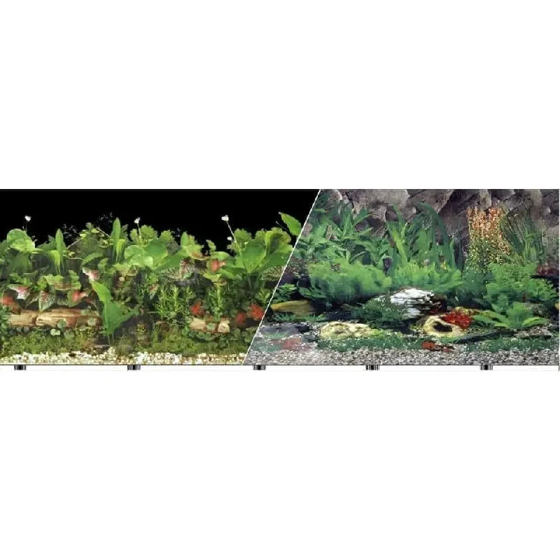 Background Double-sided Tropical Freshwater