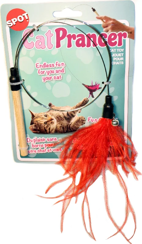 Cat Prancer Color Teaser Wand