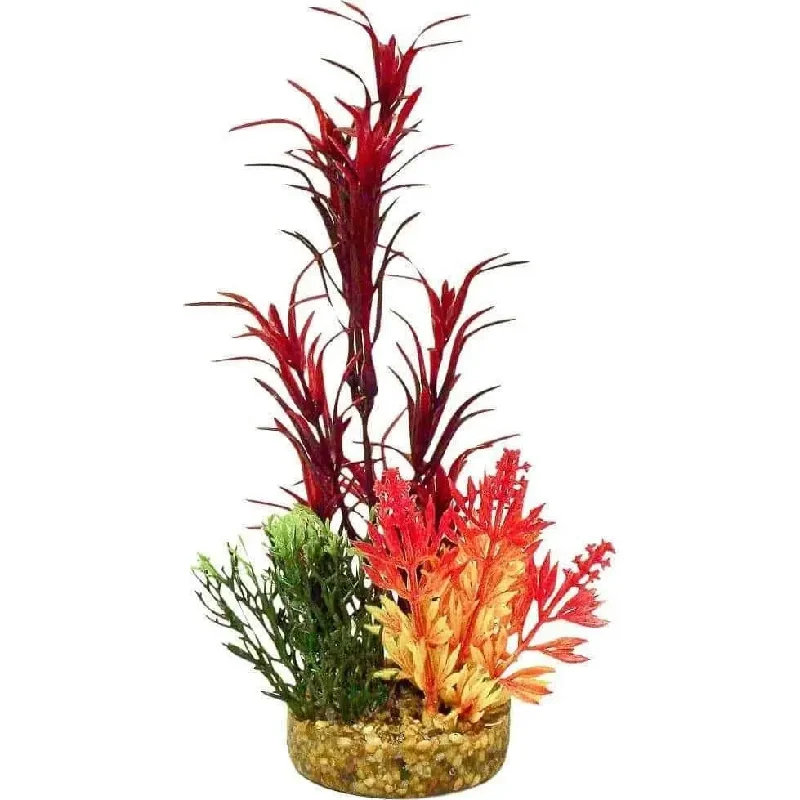 Color Burst Florals Blade Grass Plant