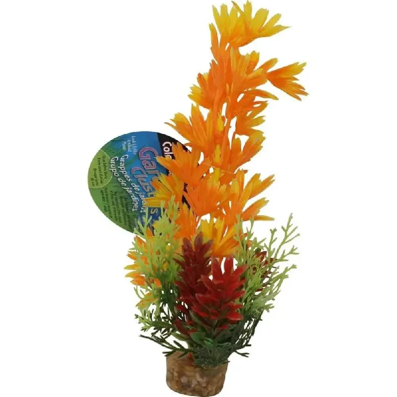 Color Burst Florals Large Brush Plants