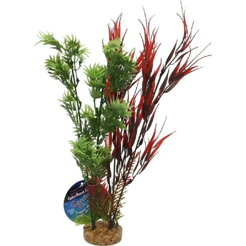 Color Burst Florals Water Harvest Plant