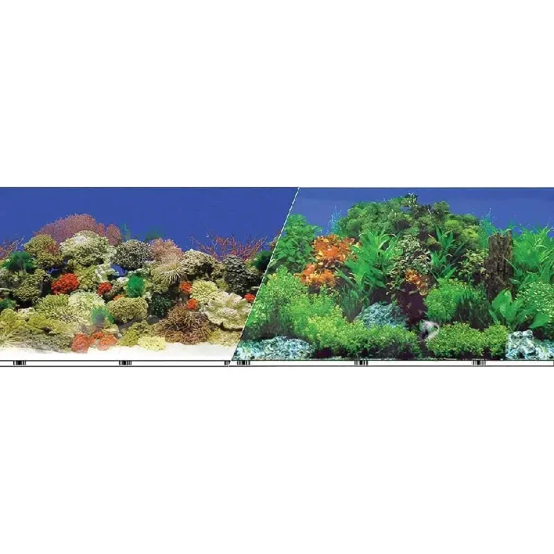 Double-sided Garden-carribbean Coral Background