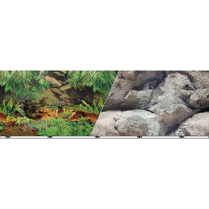 Double-sided Rainforest-boulder Background