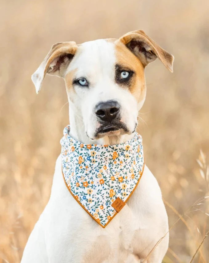 Meadow Floral Dog Bandana (Made in the USA)