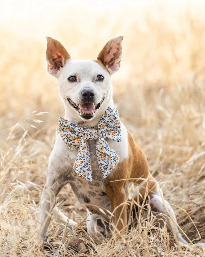 Meadow Floral Dog Sailor Bow (Made in the USA)