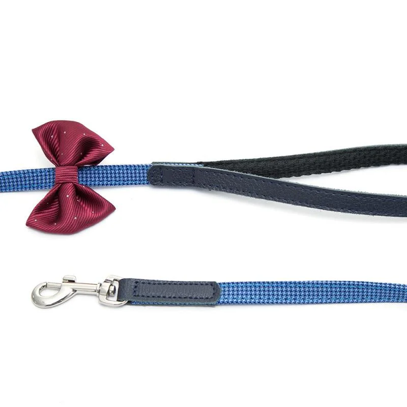 Pawsitiv Handmade Leash OSCAR