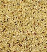 TopFlite Canary Seed