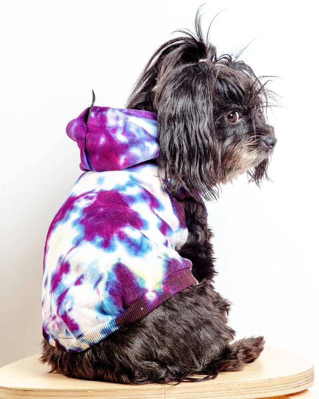 Studio Splatter Dog Sweatshirt in TV Screen (FINAL SALE)